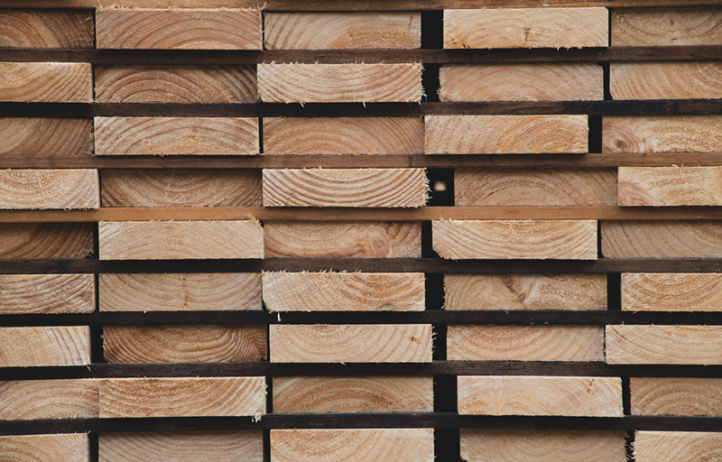 The New Zealand log market | Canopy